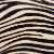 zebra hairon